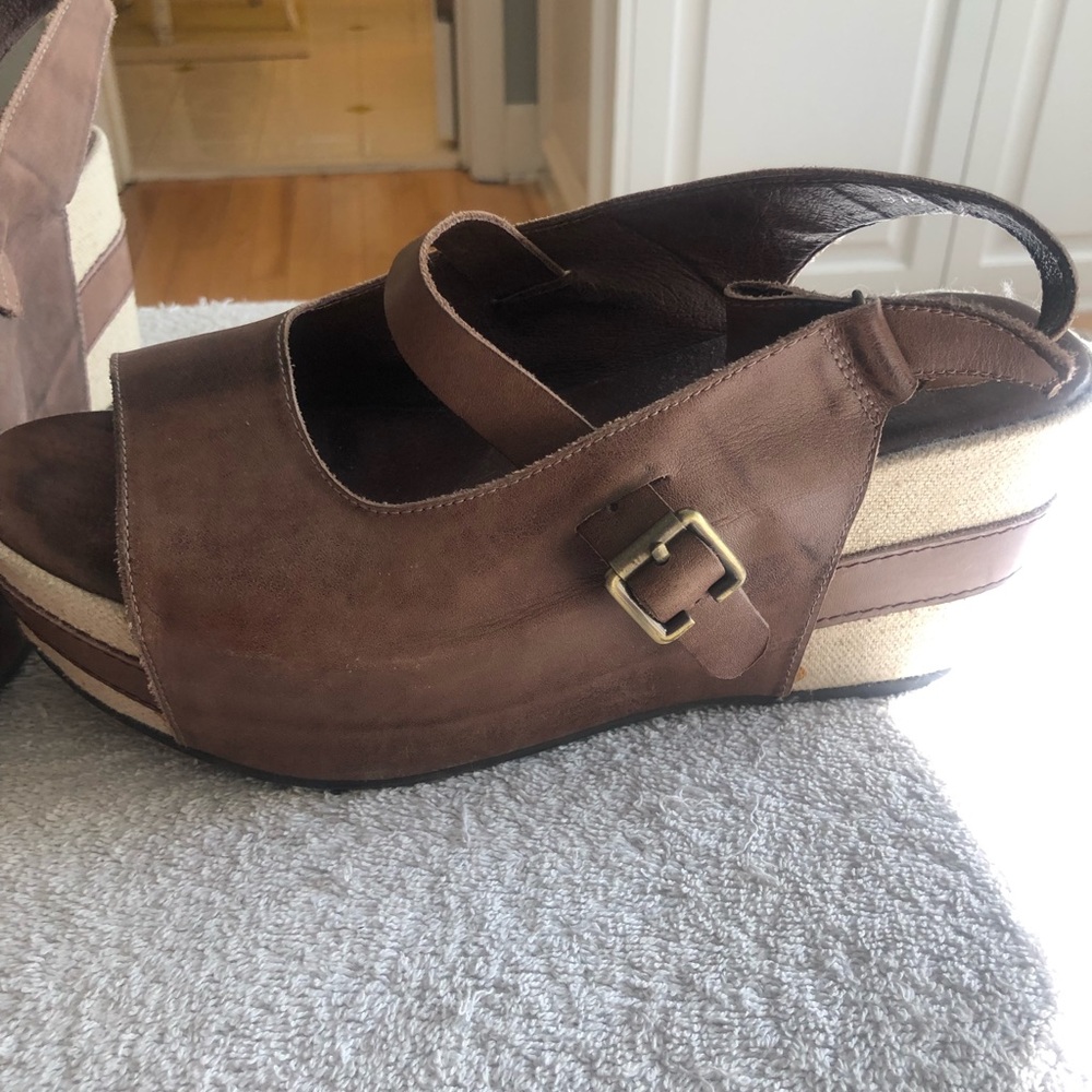 Antelope Wedges